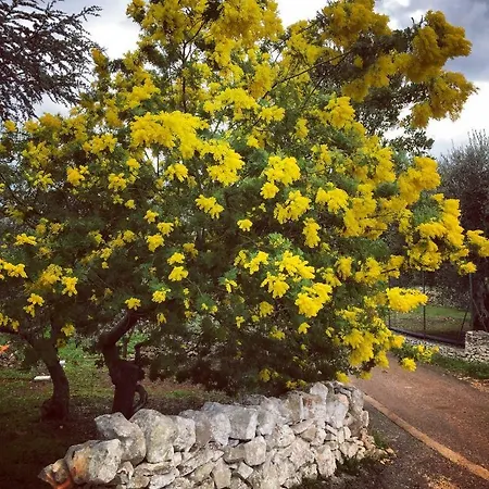 Fatuaria منتجع *